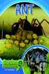 Ant
