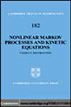 Nonlinear Markov Processes and Kinetic Equations