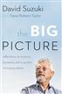 The Big Picture