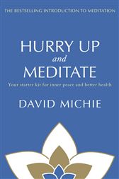 Hurry Up and Meditate