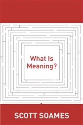 What Is Meaning?