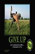 Give Up: Life's an Adventure for Most... a Concussion for You.