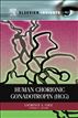 Human Chorionic Gonadotropin (hGC)