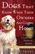 Dogs That Know When Their Owners Are Coming Home