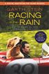 Racing in the Rain