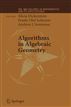 Algorithms in Algebraic Geometry