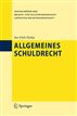 Allgemeines Schuldrecht (Enzyklopädie der Rechts- und Staatswissenschaft / Abteilung Rechtswissenschaft) (German Edition)