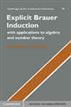 Explicit Brauer Induction