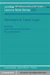 Advances in Linear Logic