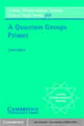 A Quantum Groups Primer