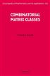 Combinatorial Matrix Classes