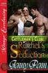 Rachel's Seduction