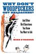 Why Don't Woodpeckers Get Headaches?