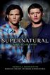 Supernatural: One Year Gone
