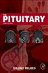 The Pituitary
