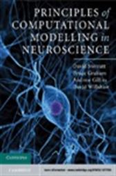 Principles of Computational Modelling in Neuroscience