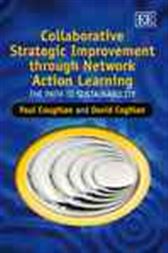 Collaborative Strategic Improvement through Network Action Learning