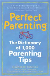 Perfect Parenting: The Dictionary of 1,000 Parenting Tips