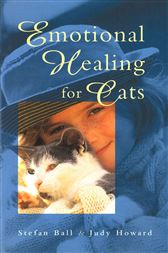 Emotional Healing For Cats