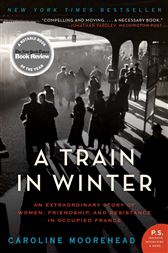 A Train in Winter
