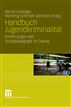 Handbuch Jugendkriminalität