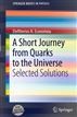A Short Journey from Quarks to the Universe