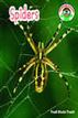 Spiders