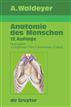 Waldeyer - Anatomie des Menschen