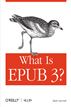 What is EPUB 3?