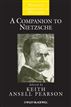 A Companion to Nietzsche