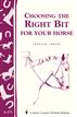 Choosing the Right Bit for Your Horse