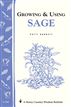 Growing & Using Sage