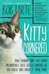 Kitty Cornered