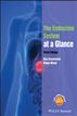 The Endocrine System at a Glance