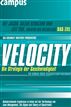 Velocity - Die Strategie der Geschwindigkeit