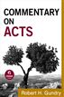 Commentary on Acts