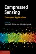 Compressed Sensing