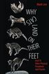 Why Cats Land on Their Feet