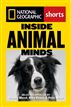Inside Animal Minds
