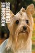 Your Yorkshire Terrier