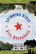Spinning Dixie