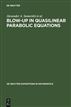 Blow-Up in Quasilinear Parabolic Equations