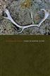 The Reindeer Camps