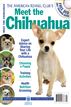 Meet the Chihuahua