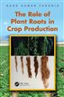The Role of Plant Roots in Crop Production