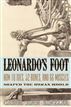 Leonardo's Foot