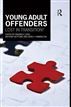 Young Adult Offenders