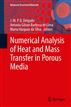 Numerical Analysis of Heat and Mass Transfer in Porous Media