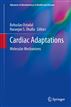 Cardiac Adaptations