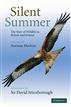 Silent Summer